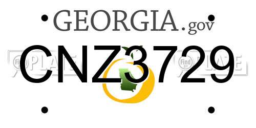CNZ3729 Georgia License Plate