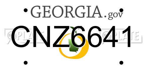 CNZ6641 Georgia License Plate