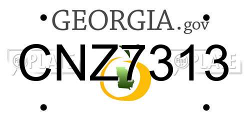 CNZ7313 Georgia License Plate