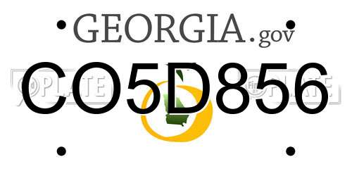 CO5D856 Georgia License Plate