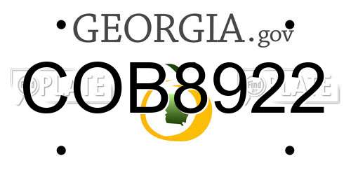 COB8922 Georgia License Plate