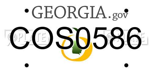 COS0586 Georgia License Plate