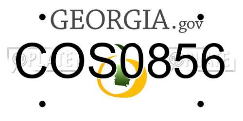 COS0856 Georgia License Plate