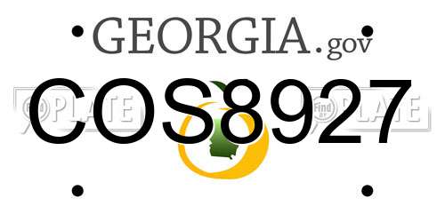 COS8927 Georgia License Plate