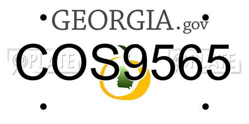 COS9565 Georgia License Plate