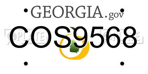 COS9568 Georgia License Plate