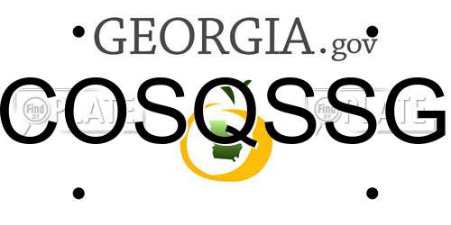 COSQSSG Georgia License Plate