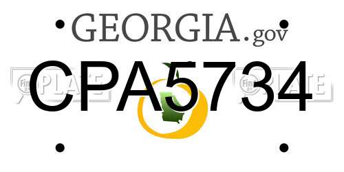 CPA5734 Georgia License Plate