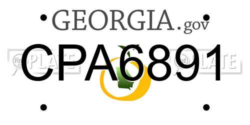 CPA6891 Georgia License Plate
