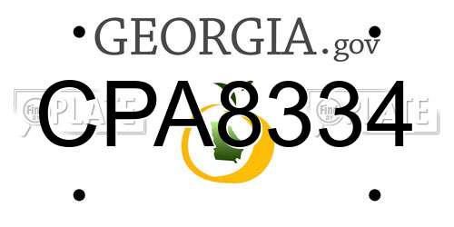 CPA8334 Georgia License Plate