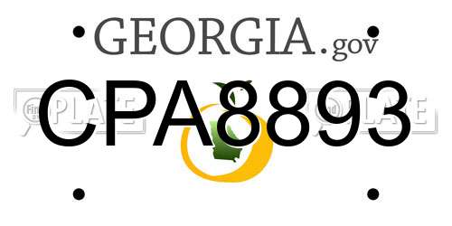 CPA8893 Georgia License Plate
