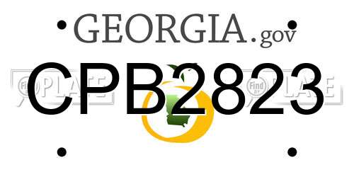 CPB2823 Georgia License Plate