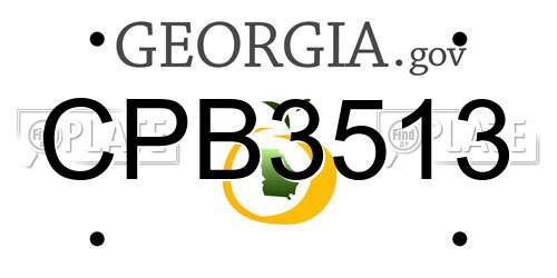 CPB3513 Georgia License Plate