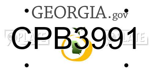 CPB3991 Georgia License Plate