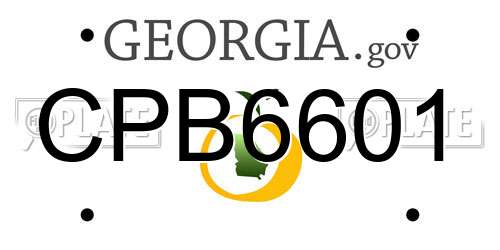 CPB6601 Georgia License Plate