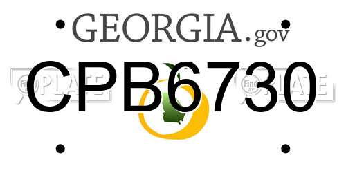 CPB6730 Georgia License Plate