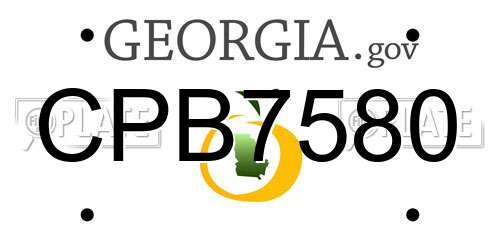 CPB7580 Georgia License Plate