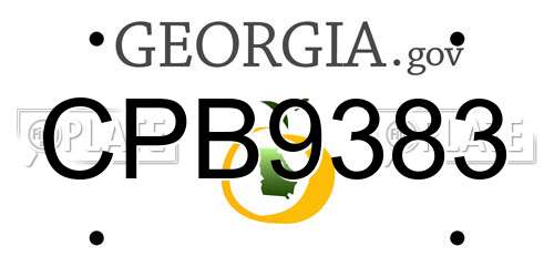 CPB9383 Georgia License Plate