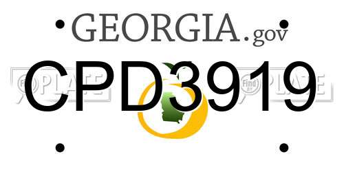 CPD3919 Georgia License Plate