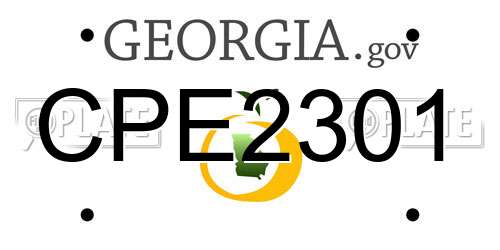 CPE2301 Georgia License Plate