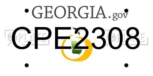 CPE2308 Georgia License Plate