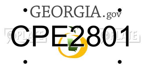 CPE2801 Georgia License Plate