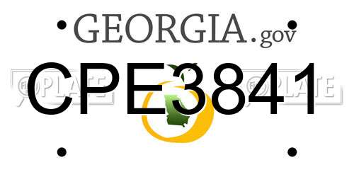 CPE3841 Georgia License Plate