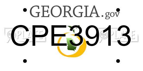 CPE3913 Georgia License Plate