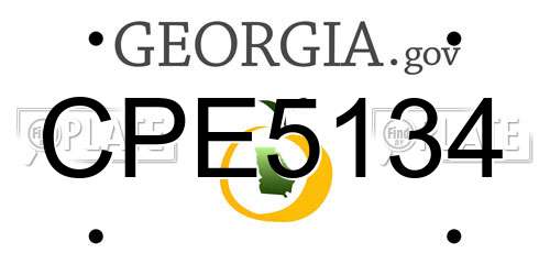 CPE5134 Georgia License Plate