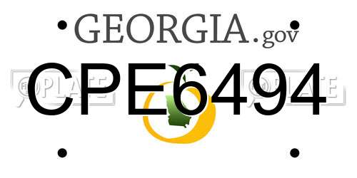 CPE6494 Georgia License Plate
