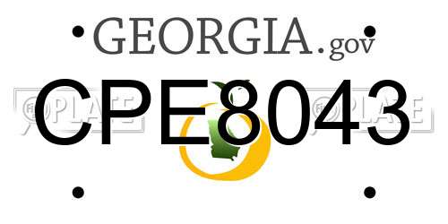 CPE8043 Georgia License Plate
