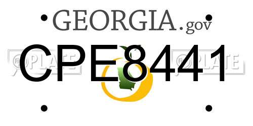 CPE8441 Georgia License Plate