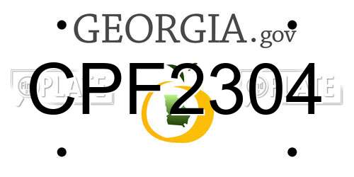 CPF2304 Georgia License Plate