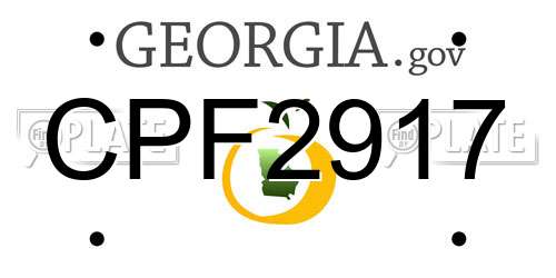 CPF2917 Georgia License Plate