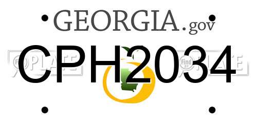 CPH2034 Georgia License Plate