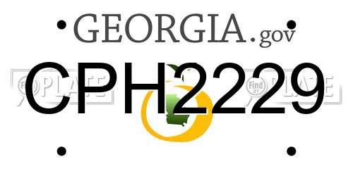 CPH2229 Georgia License Plate