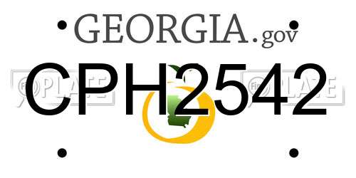 CPH2542 Georgia License Plate
