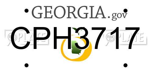 CPH3717 Georgia License Plate