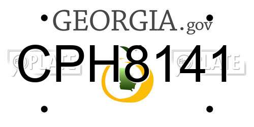 CPH8141 Georgia License Plate