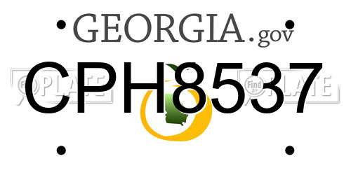 CPH8537 Georgia License Plate