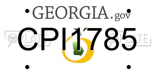 CPI1785 Georgia License Plate