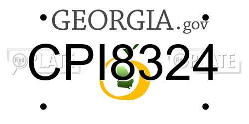 CPI8324 Georgia License Plate