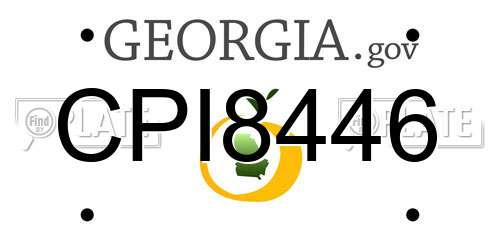 CPI8446 Georgia License Plate
