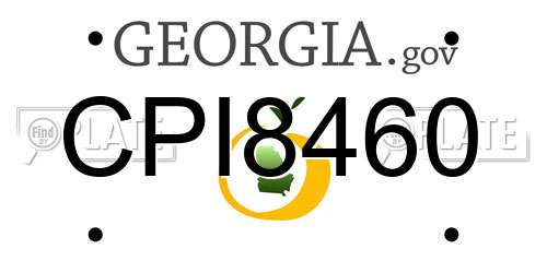 CPI8460 Georgia License Plate