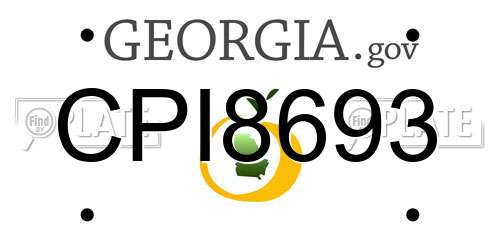 CPI8693 Georgia License Plate