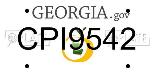 CPI9542 Georgia License Plate