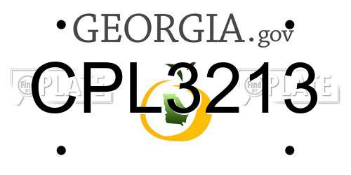 CPL3213 Georgia License Plate