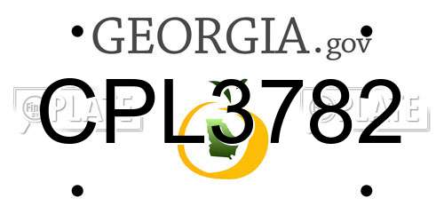 CPL3782 Georgia License Plate