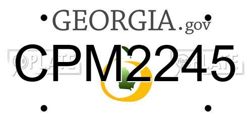 CPM2245 Georgia License Plate