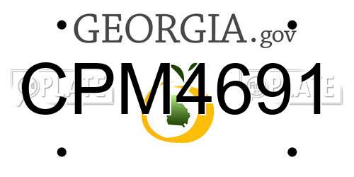 CPM4691 Georgia License Plate